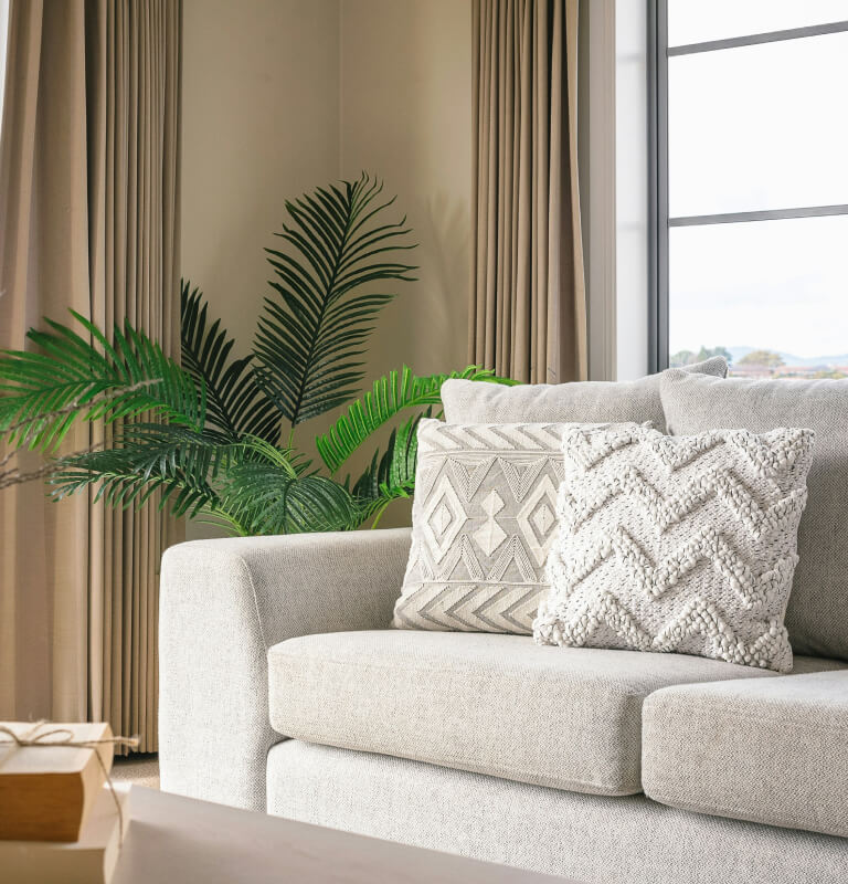 Our organic Amla farm